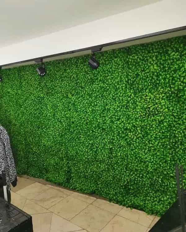تصویر 4 از قیمت خرید گرین وال برگ ریحون + فروش ویژه